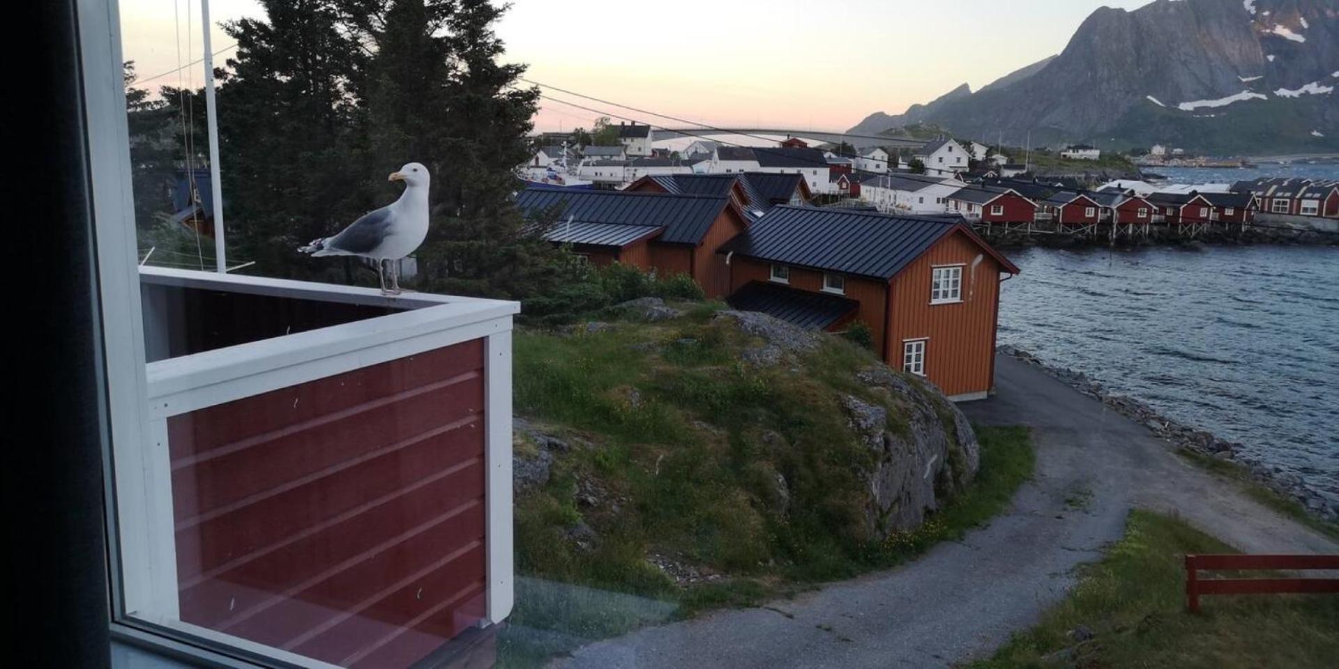 מוסקנס Lofoten Panoramic Luxury Home With Sauna מראה חיצוני תמונה